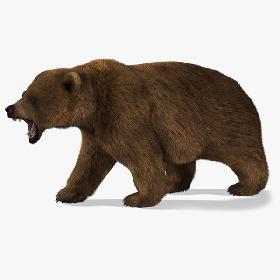 Bear (2) (LightBrown) (Rig) (Fur)